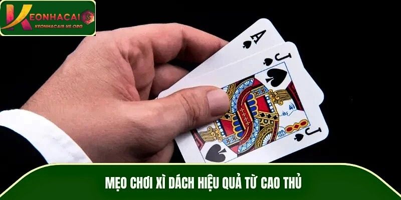 Mẹo chơi xì dách hiệu quả từ cao thủ