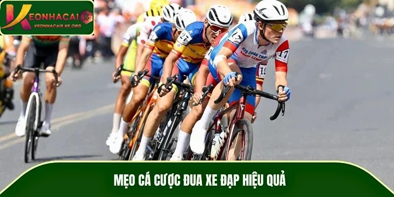 Mẹo cá cược đua xe đạp hiệu quả